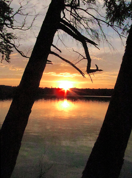 © Heidi Bosch Romano